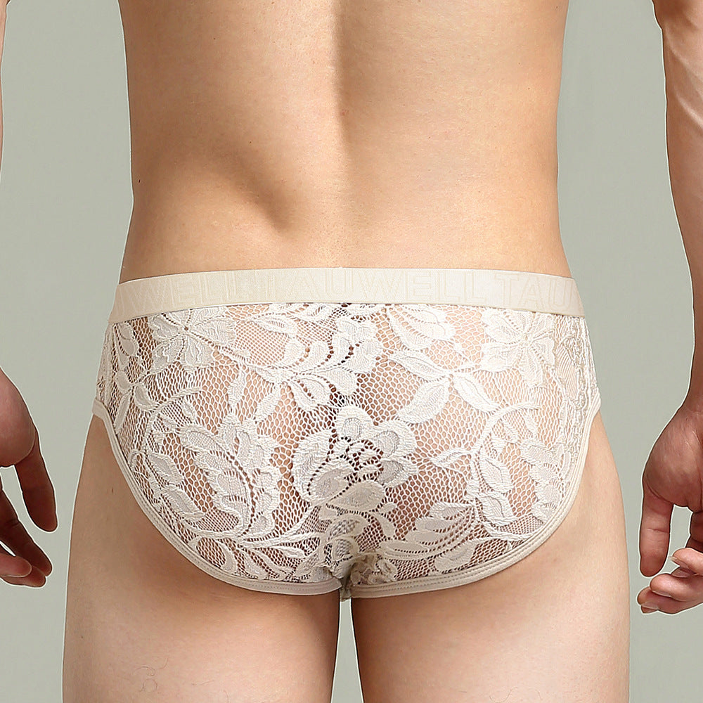 Sexy durchsichtiger Spitzenslip
