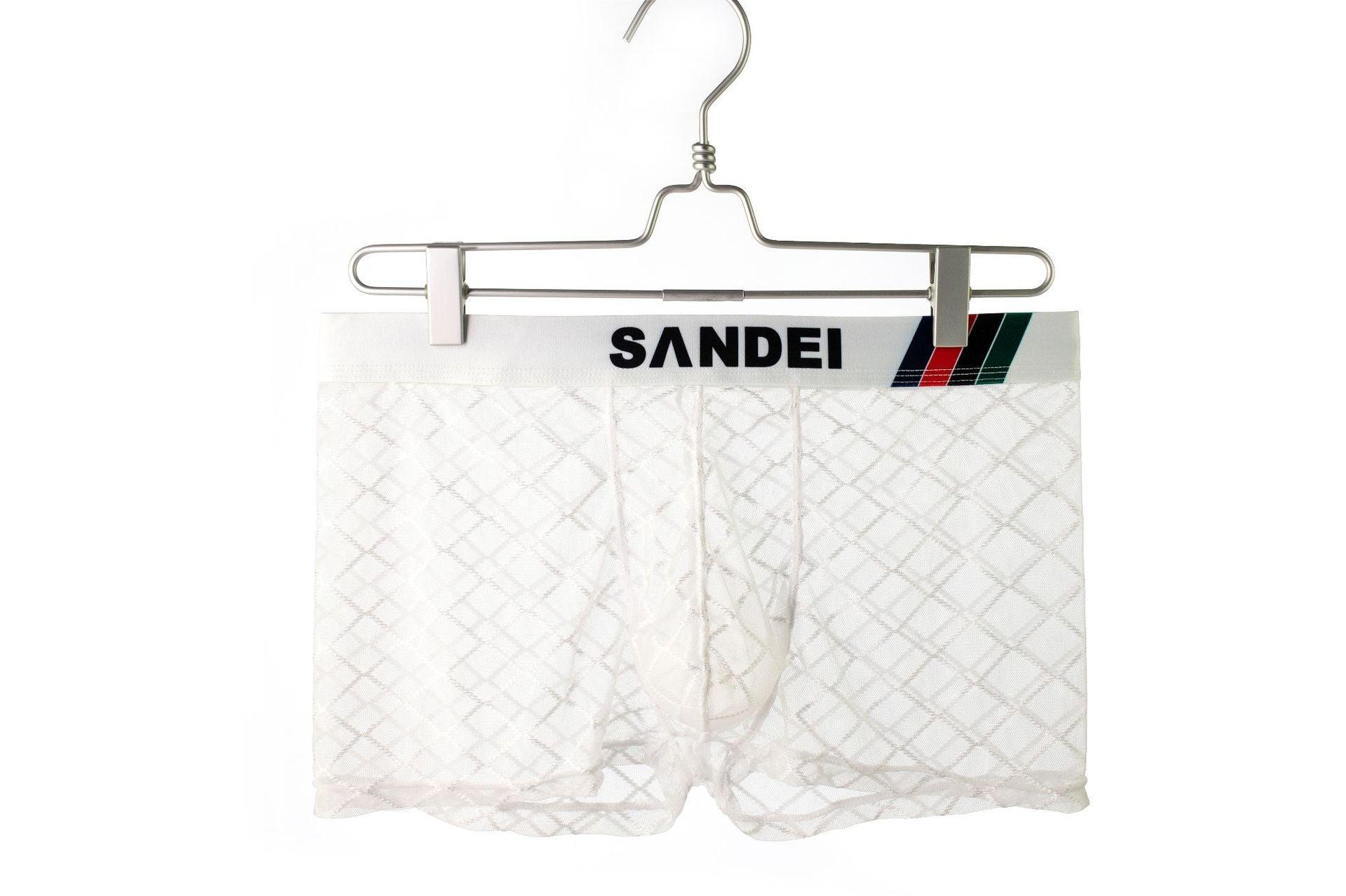 Sexy transparente Mesh-Badehose für Herren